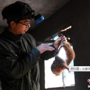 ٷĄ(l)I(y)λˆTx(chung)I(y)  2017-03-22 09:34:00Դ: Ї ...