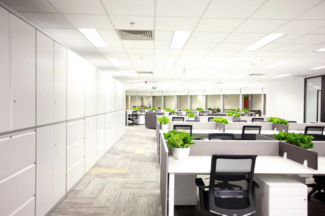 1պYďV湫˾:ձV湫˾