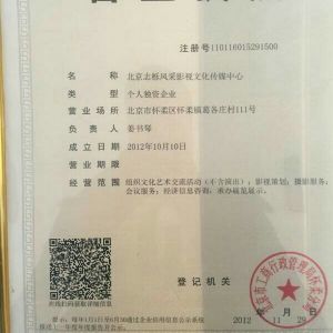 2V湫˾(jng)I(yng):I(yng)I(y)(zh)ЏVĽ(jng)I(yng)ʲô