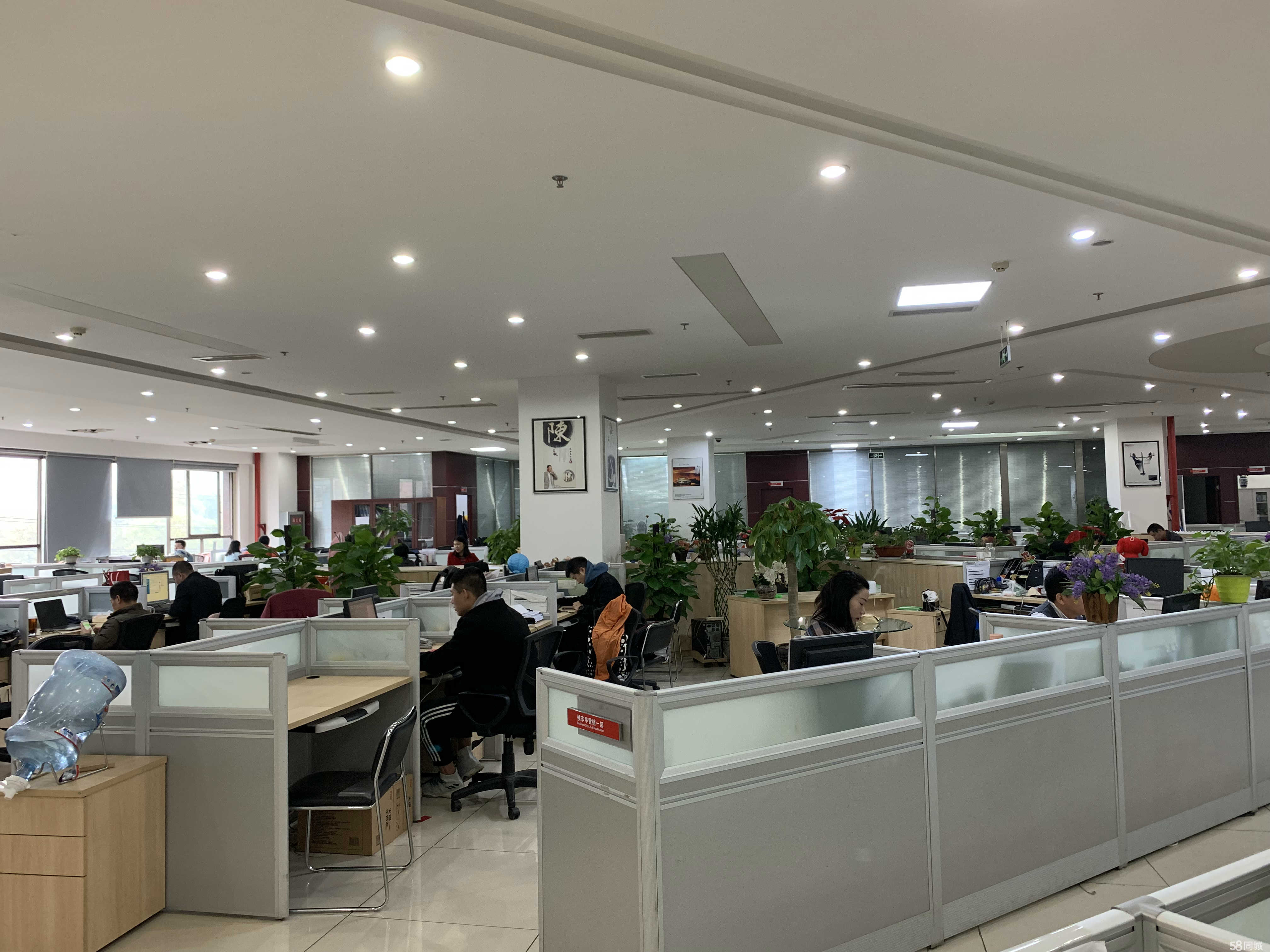 3ɶV湫˾:ɶ׿ЧV޹˾ô