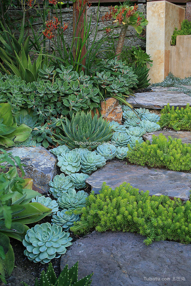 2@OӋ:@¶_@OӋЩ