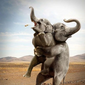 Є(chung)ďV棬(chung)V