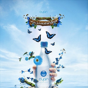 NV棬(bo)͏Vʲô^(q)e