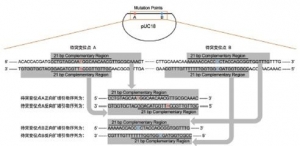 O(sh)Ӌ(j)PCRO(sh)Ӌ(j)Ļԭtʲô