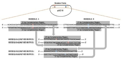 2O(sh)Ӌ(j):O(sh)Ӌ(j)ԭtʲô?
