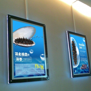 _(ti)õďV湫˾_(d)ĠI(yng)NĿ(bio)(_(ti)Vṩ(chung)?tng)I(yng)NQ