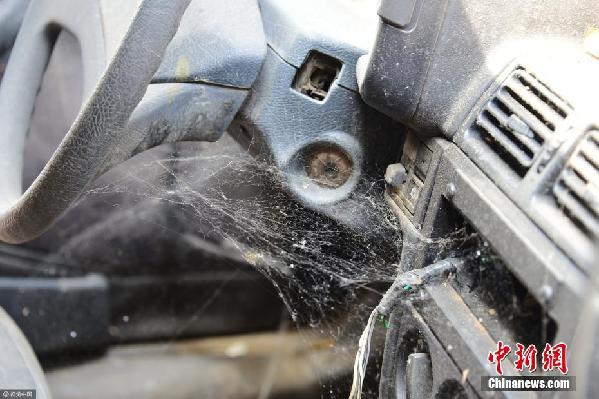 坐井觀天教學(xué)設(shè)計(jì)