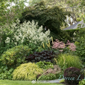 O(sh)Ӌ(j)o㲻һӵĻʢ(O(sh)Ӌ(j)˾@Č)